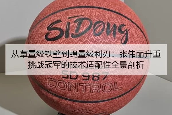 从草量级铁壁到蝇量级利刃：张伟丽升重挑战冠军的技术适配性全景剖析